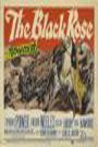 The Black Rose